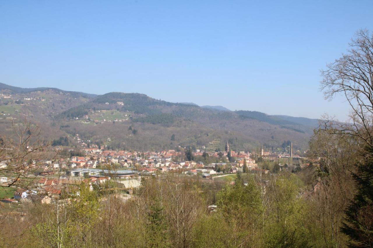 Le Chataignier Hébergement de vacances Luttenbach-près-Munster
